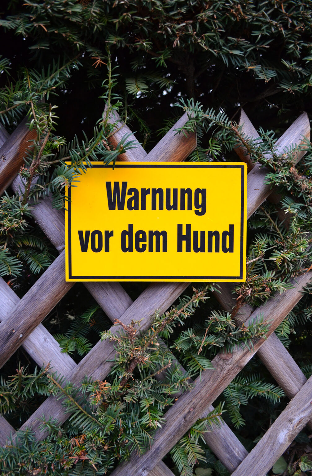 Warnschild an Gartenzaun "Warnung vor dem Hund"